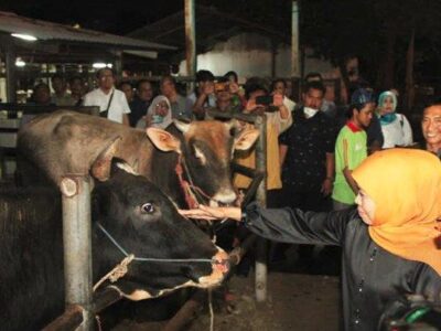 Gubernur Jatim Khofifah Indar Parawansa saat melakukan sidak Rumah Pemotongan Hewan (RPH) Pegirian Surabaya