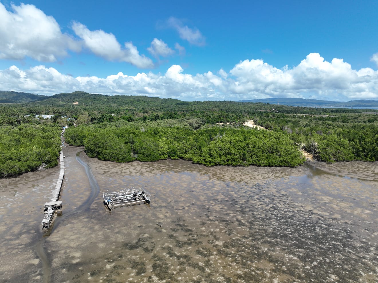 Area di Kelurahan Lalowaru Kabupaten Konawe Selatan, yang akan dilaksanakan rehabitilasi mangrove. Sumber foto : Istimewa