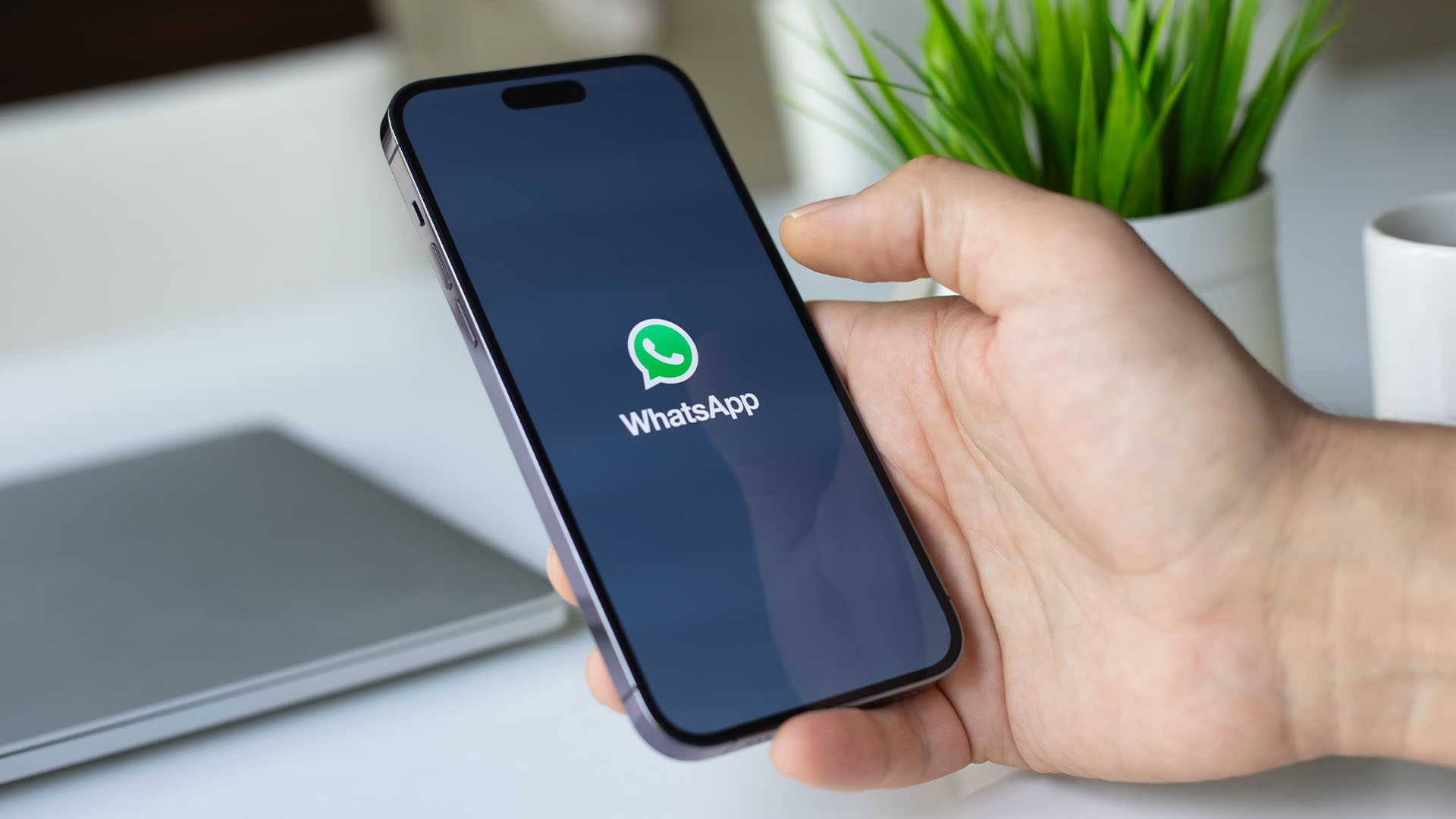 Aplikasi WhatsApp