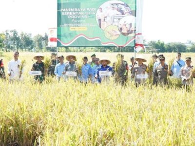 Kegiatan panen raya padi yang digelar di Desa Bataan, Kecamatan Tenggarang, Senin (7/4/2025).