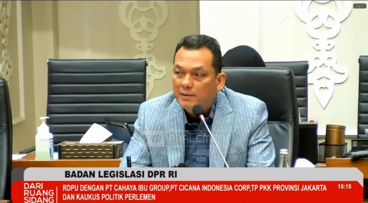 Anggota DPR RI Fraksi Nasdem, Martin Manurung