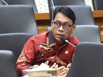 Anggota DPR RI Fraksi PDIP, I Ketut Kariyasa Adnyana